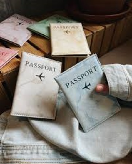FUNDA PARA PASAPORTE